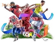 sport 65x